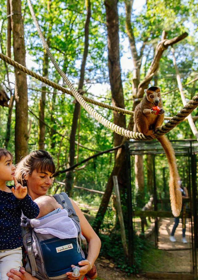 Réserve Zoologique de Calviac en Dordogne Périgord