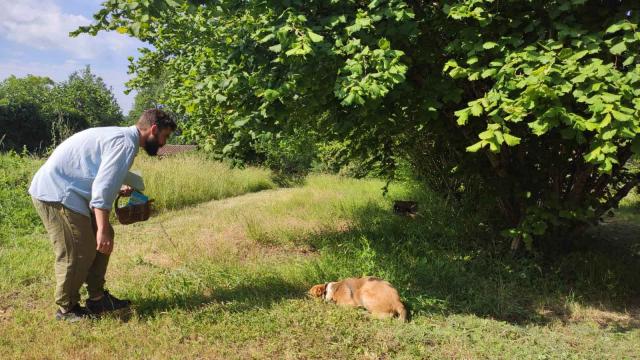 Adrian Et Pounty
