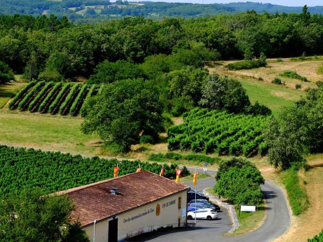 Cave du Vin de Domme