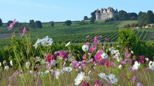 Vignoble et château de Monbazillaczillac