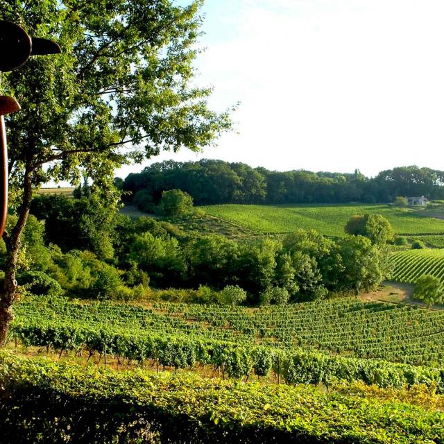 Vignoble de Bergerac
