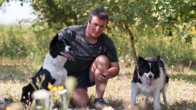 Albin Meynard, Ferme Andrévias