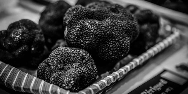 Marché aux Truffes en Dordogne