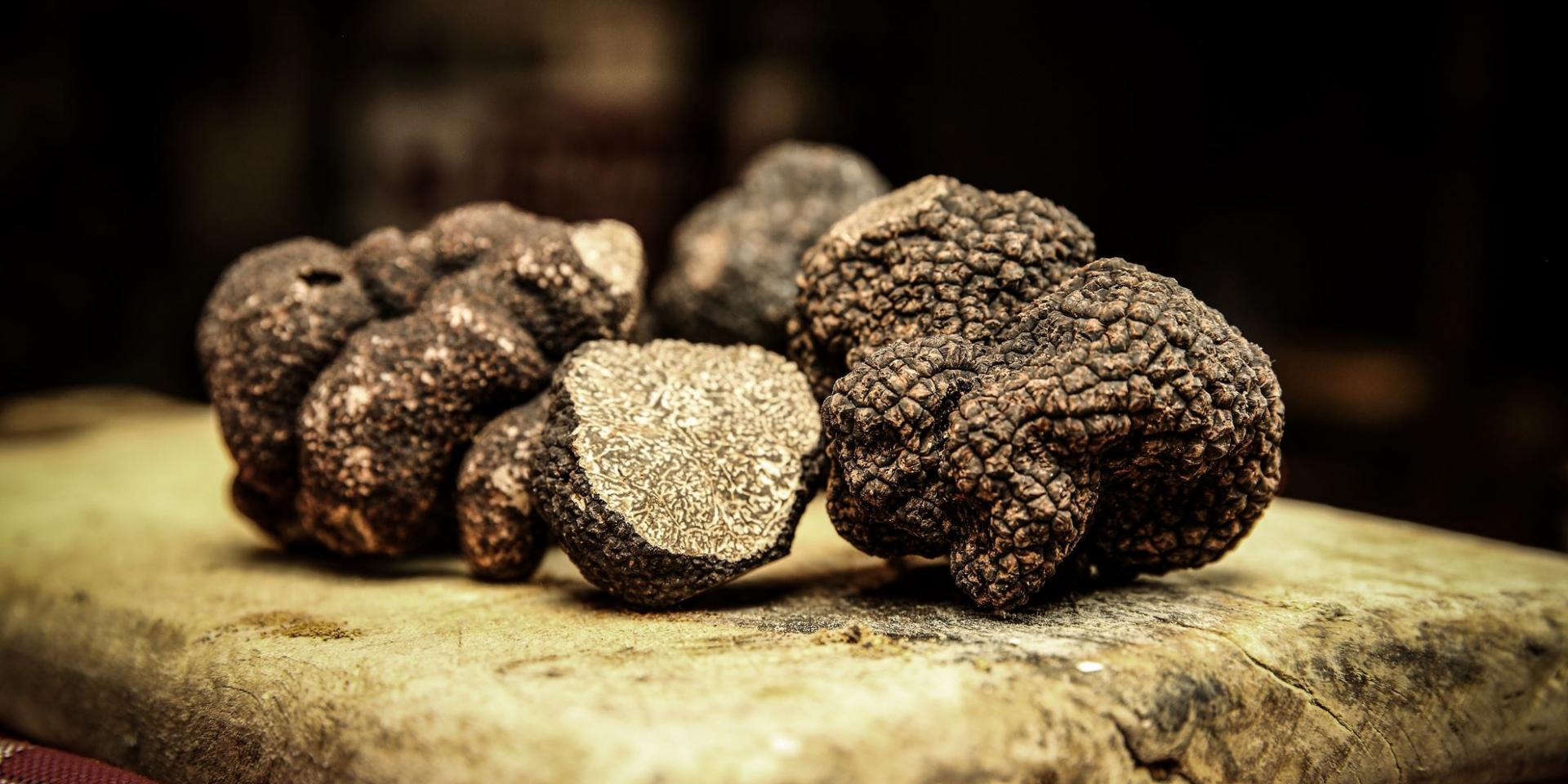La truffe du Périgord