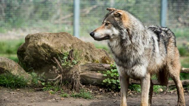 Parc du Thot à Thonac