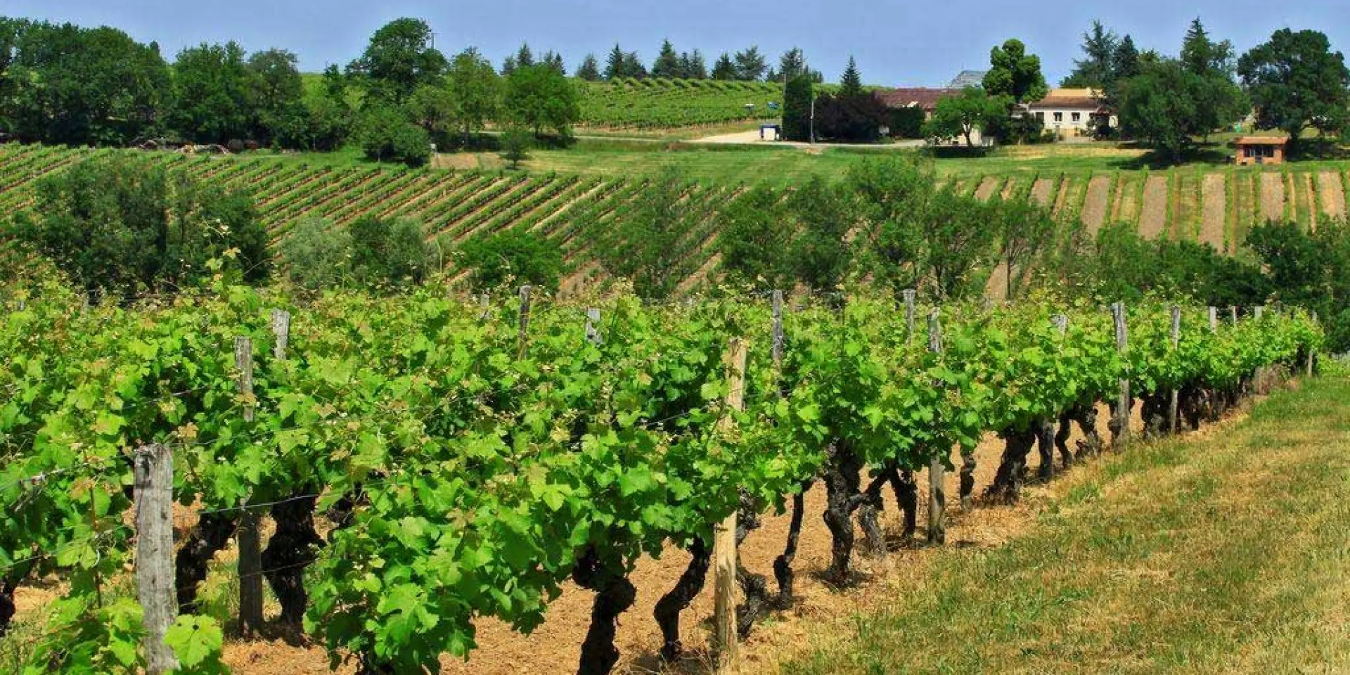 Domaine de Grange Neuve à Pomport