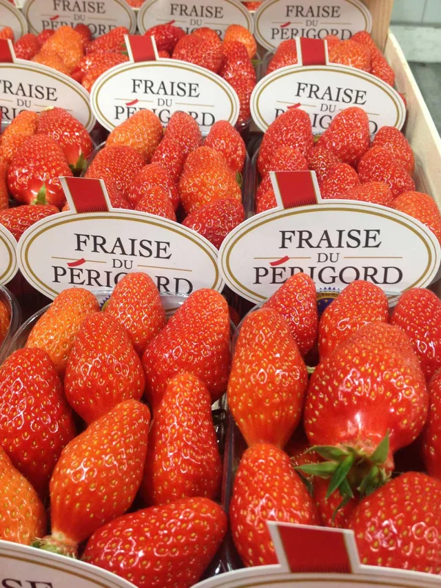 Fraise Du Périgord