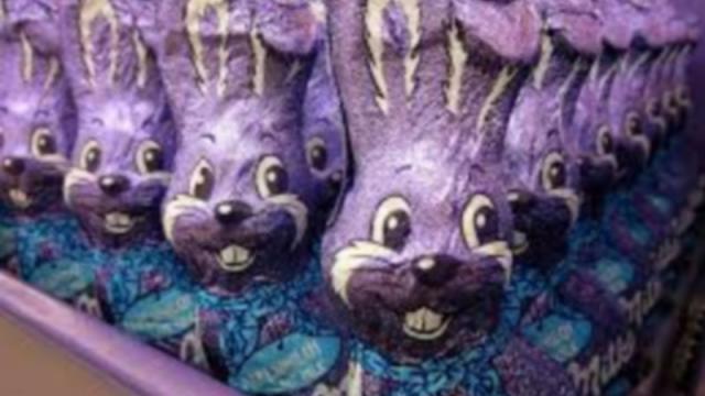 Saint Astier Chasse Oeufs Paques