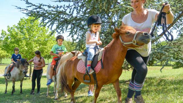 Eté actif - Baby poney