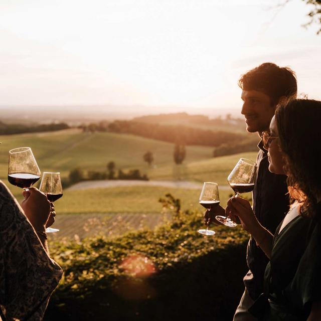 Un été dans le vignoble de Bergerac