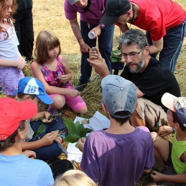Les Estivales 2018