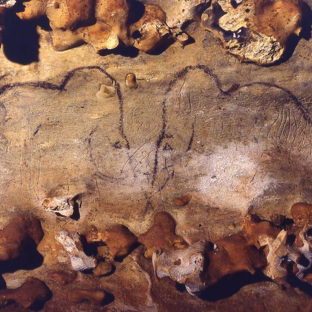 Grotte de Rouffignac