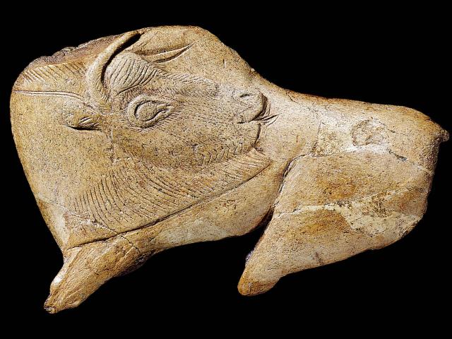 Le Bison se léchant de la Madeleine - Musée National de Préhistoire aux Eyzies