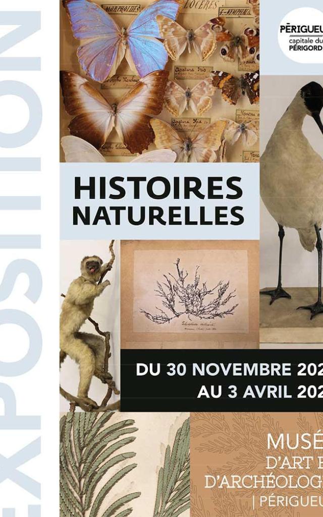 Expo Maap Histoiresnaturelles
