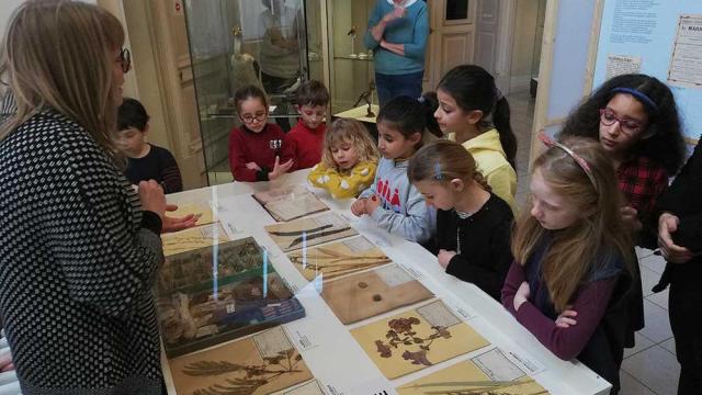 Jeu de piste au Musée d'Art et d'Archéologie du Périgord