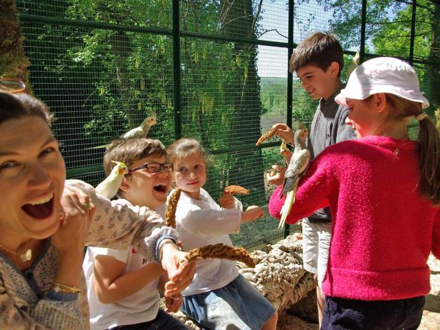 Nourrissage des oiseaux exotiques au Château des Milandes