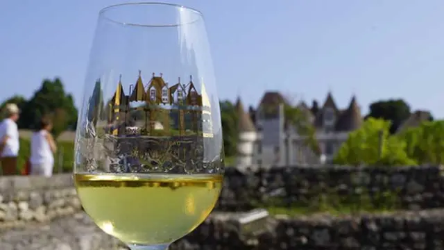 Château et vin de Monbazillac