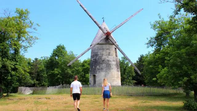 Moulin à vent des Terres Blanche - La Tour Blanche