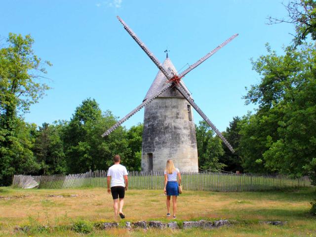 Moulin à vent des Terres Blanche - La Tour Blanche