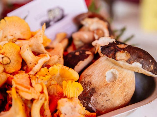 Cèpes et girolles sur un marché de Dordogne