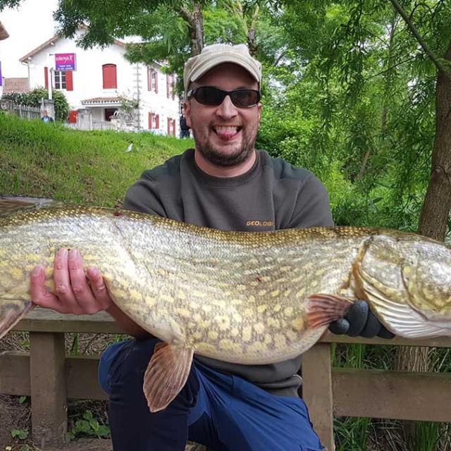 Un beau brochet
