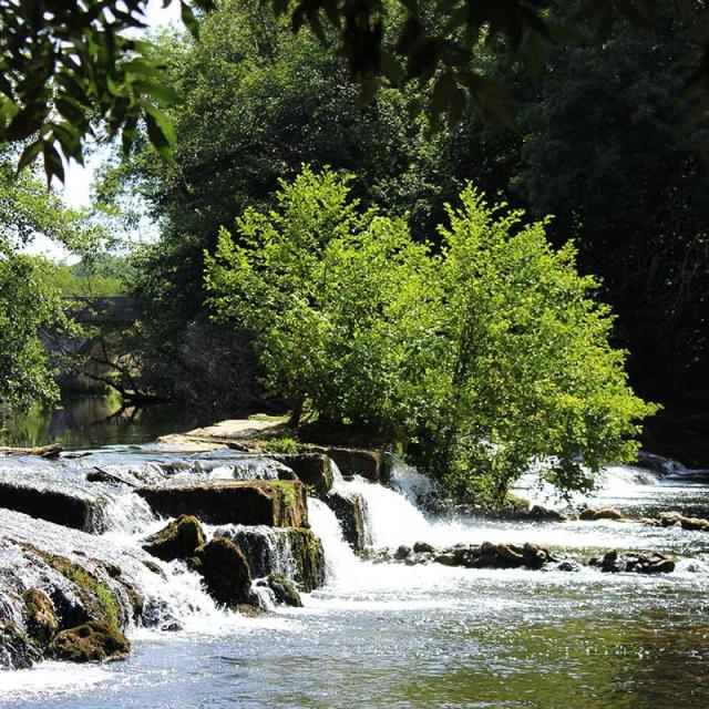 Site de Rochereuil à Grand-Brassac