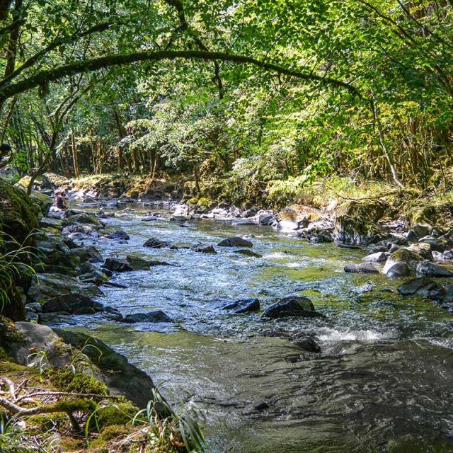 Gorges de l'Auvézère