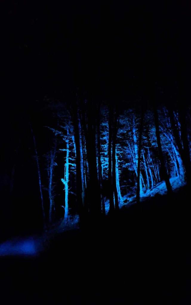 Nocturnes au Château de Commarque
