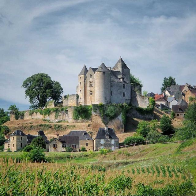 Château de Salignac à Salignac Eyvigues