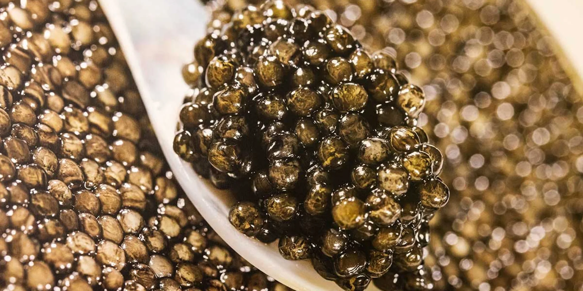 Caviar Perle Noire - Les Eyzies