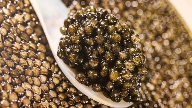 Caviar Perle Noire - Les Eyzies