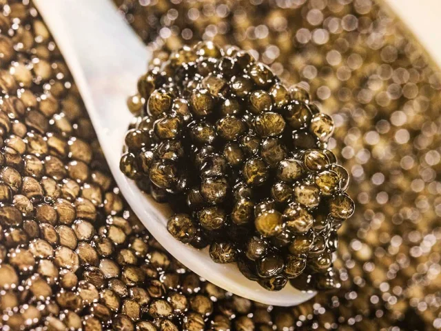 Caviar Perle Noire - Les Eyzies