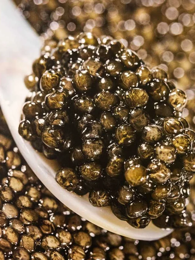 Caviar Perle Noire - Les Eyzies