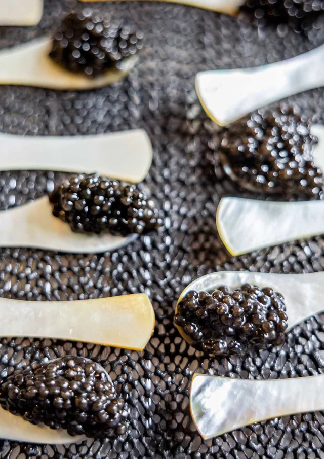 Caviar Perle Noire - Les Eyzies