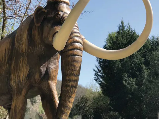 Grottes du Roc de Cazelle aux Eyzies