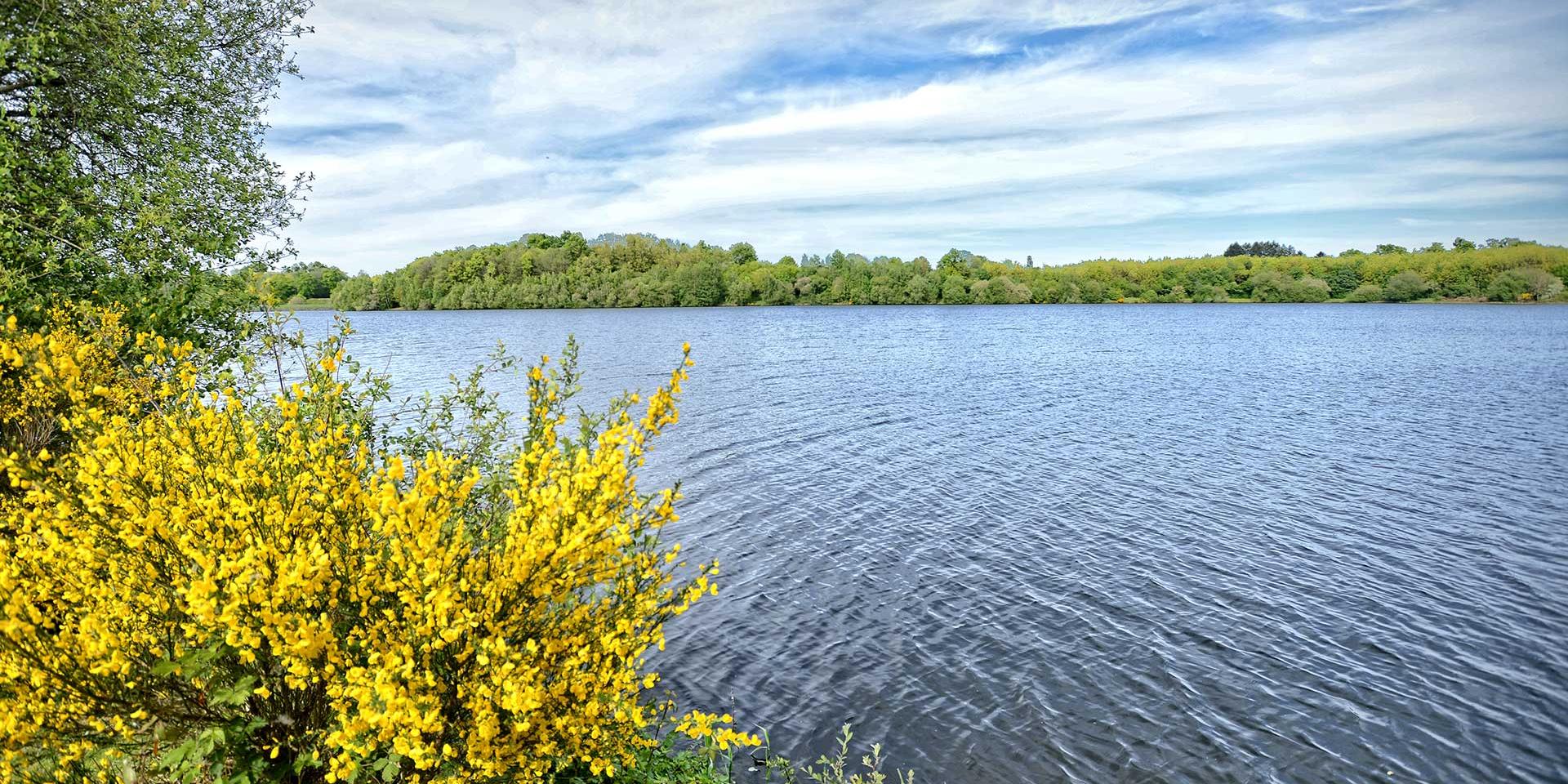 Plan d'eau de Miallet