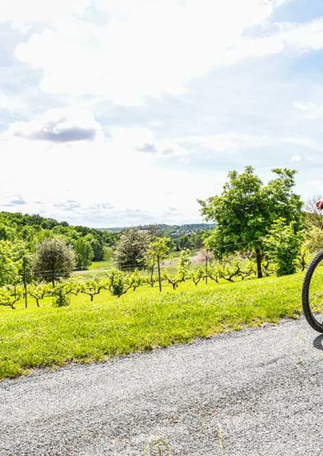 VTT dans le Ribéracois