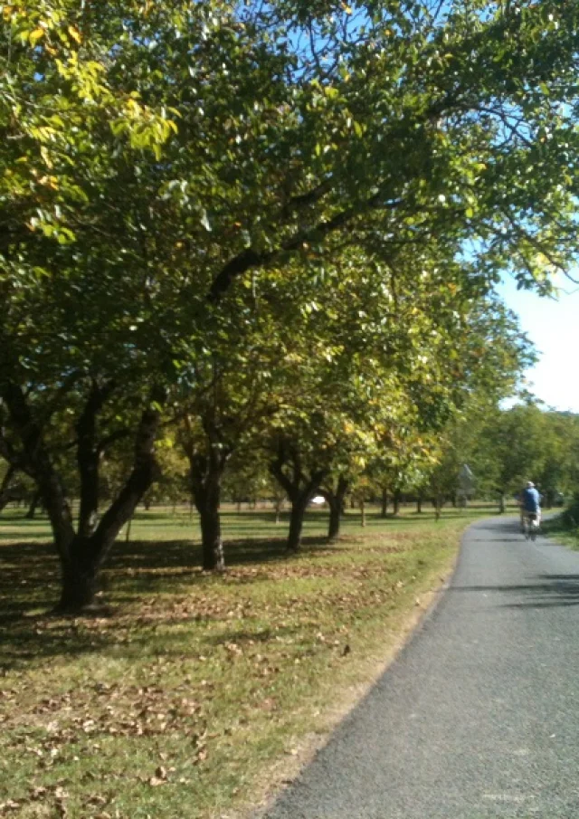 Velo Voie Verte Ceou
