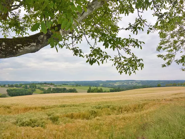 Saint Meard De Dronne