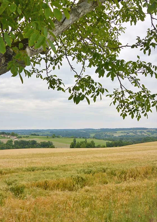 Saint Meard De Dronne
