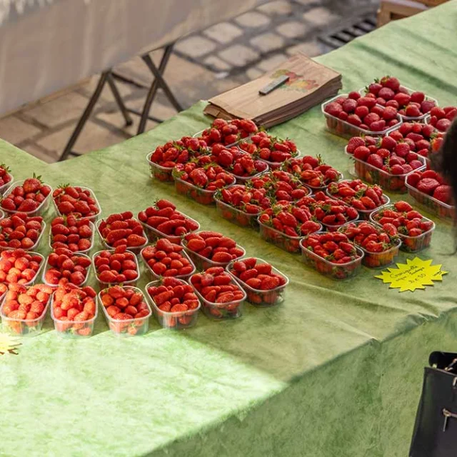 Marché des producteurs de Périgueux. Fraises du Périgord