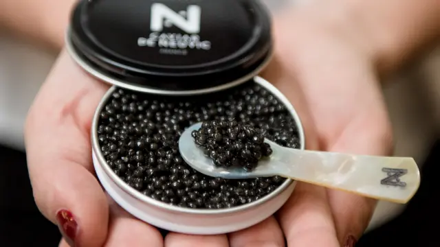 Boite De Caviar 2 Sandra Hygonnenc