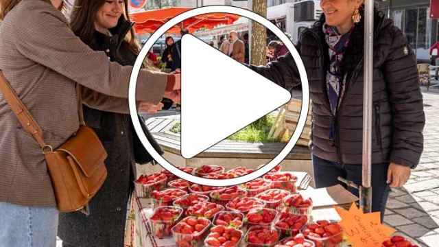 Marché des producteurs de Périgueux