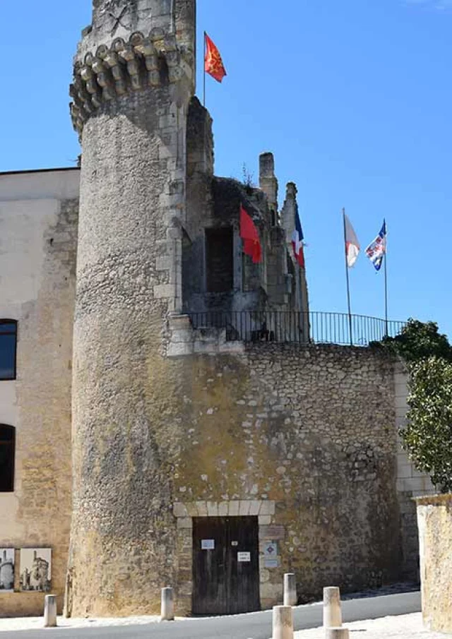 Château de Barrière à Villamblard