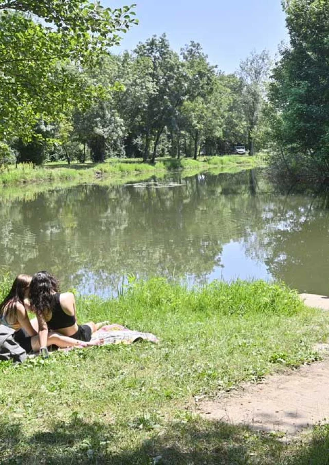 Randonnée sur les bords de l'Isle à Montpon