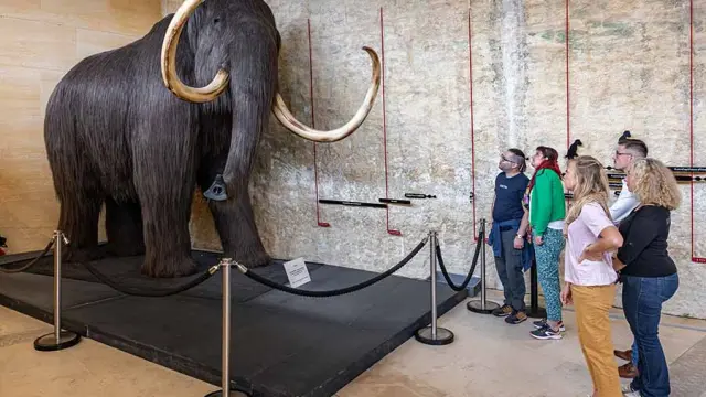 Musée National de Préhistoire - Les Eyzies