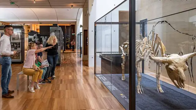 Musée National de Préhistoire - Les Eyzies