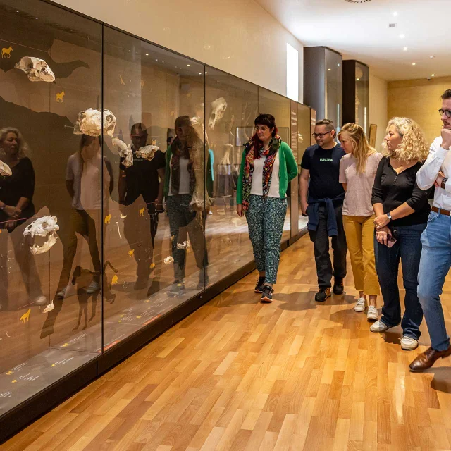 Musée National de Préhistoire - Les Eyzies