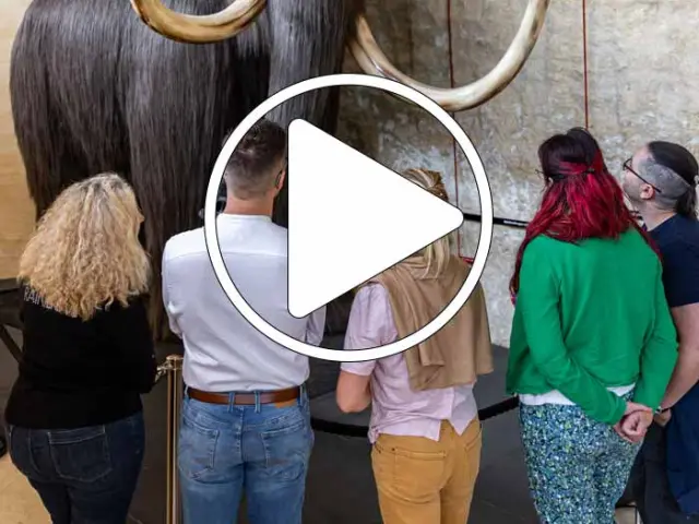 Musée National de Préhistoire - Les Eyzies