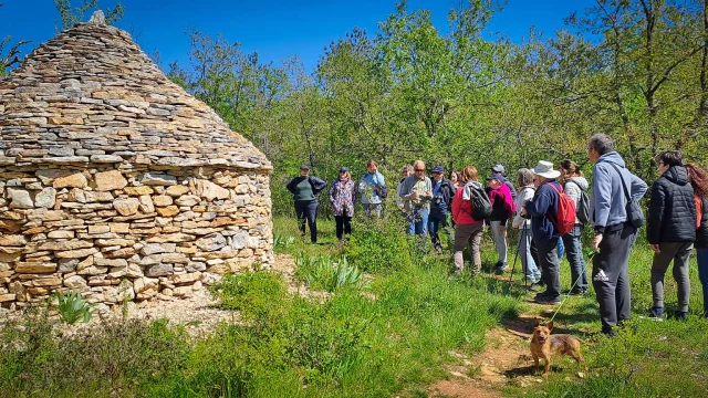 Randonnée sur le Causse de Savignac